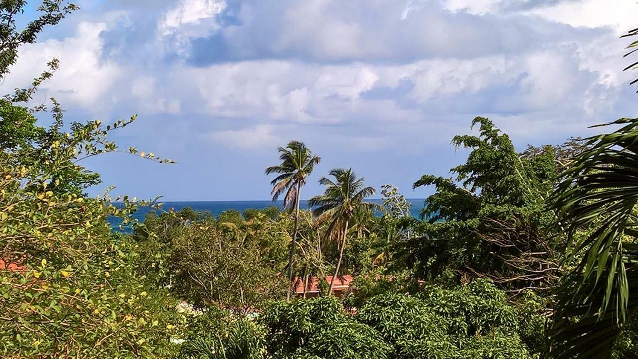 Villa Kaz Maracudja Deshaies Exterior foto